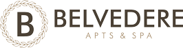 logo-nav